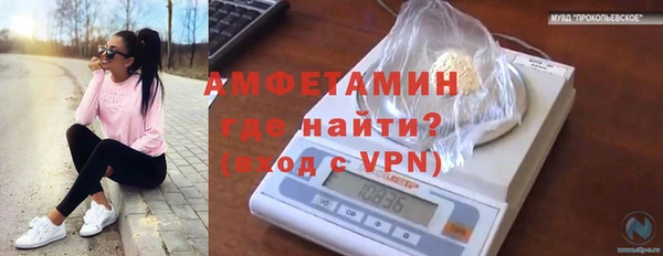 шишки Володарск