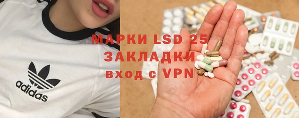 шишки Володарск