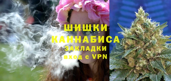 шишки Володарск